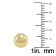 14K Yellow Gold 8mm Button Ball Stud Earrings