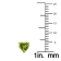 14K Yellow Gold 5MM Heart Peridot Earrings