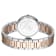 GV2 by Gevril Women's 14204B Piemonte Diamond Swiss Quartz IPRG Two-Tone Watch