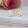 1 Ct 14K Gold IGI Certified Lab Grown Round Shape 4 Prong Diamond Stud
Earrings Friendly Diamonds
