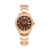 Philip Stein Traveler 36mm Chocolate Dial Watch - 91FRGP-CCH-SSRGP