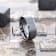 ELYSIAN Black Titanium Ring with Polished Beveled Edges and Brush
Finished Center 8mm