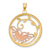 14k Tri-color Gold Butterfly in Circle Pendant
