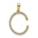 14K Yellow Gold Diamond Letter C Initial Pendant