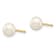14K Yellow Gold 5-6mm White Round Freshwater Cultured Pearl Stud Post Earrings