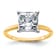 14K Yellow Gold With White Gold Accents 2 1/2ctw D E F Pure Light
Princess Moissanite Solitaire Ring