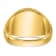 10K Yellow Gold Men's Enamel and Lab Created Ruby Blue Lodge Masonic Ring