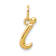 10K Yellow Gold Polished Letter i Initial Charm