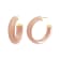 14K Yellow Gold Over Sterling Silver Small Illusion Acrylic Hoop
Earrings in Dusty