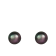 14k White Gold 10-11mm Black Freshwater Pearl Stud Earrings
