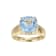 Lab Blue Spinel And White Cubic Zirconia 18k Yellow Gold Over Silver
March Birthstone Ring 3.79ctw