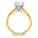 14K Yellow Gold With White Gold Accents 3 ct. D E F Pure Light Oval
Moissanite Solitaire Ring