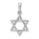 Rhodium Over 14k White Gold Textured Star Of David Pendant