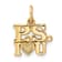 14k Yellow Gold Textured P.S. I Love You pendant