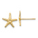 14k Yellow Gold 11mm Textured Starfish Stud Earrings