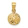 14k Yellow Gold Textured and Diamond-Cut Sand Dollar Pendant