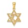 14k Yellow Gold Textured Star of David Pendant