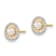 14k Two-tone Gold 7.98mm Stud Earrings with 3-3.5mm Freshwater Cultured Pearl