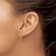 14k Yellow Gold 3D Textured Mini Seahorse Dangle Earrings