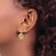 14k Yellow Gold Textured Double Scallop Shell Stud Earrings