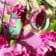 14K Yellow Gold Over Sterling Silver Illusion Hoops in Peony