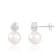7.5-8mm White Cultured Freshwater Pearl Rhodium Over Sterling Silver Earrings