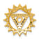14k Yellow Gold and Rhodium Over 14k Yellow Gold Diamond
Vishuddha/Throat Chakra Chain Slide Pendant