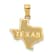 14k Yellow Gold Textured State of Texas Map Pendant