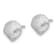 Rhodium Over 14k White Gold Scallop Shell Stud Earrings
