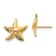 14K Yellow Gold Starfish Post Earrings