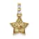14k Yellow Gold Diamond and Yellow Sapphire Star Pendant