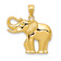 14k Yellow Gold Polished, Satin and textured Elephant Pendant