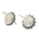 Drusy Sterling Silver Earrings 10.00ctw