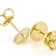 Polished 18K Gold Over Sterling Silver Ball Stud Earrings