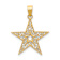 14k Yellow Gold Filigree Textured Star Pendant