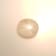 Yellow Star Sapphire Loose Gemstone 14.0x12.5mm Oval 12.84ct