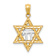 14K Two-tone Gold  Diamond-Cut Star of David with Chai Pendant