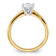 14K Yellow Gold With White Gold Accents 1 ct. D E F Pure Light Round
Moissanite Solitaire Ring