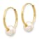 14K Yellow Gold 5-6mm White Semi-round Freshwater Cultured Pearl Endless
Hoop Earrings