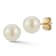 Bellissima Gold 14K Yellow Gold 7mm Freshwater Pearl Studs