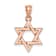 14k Rose Gold Polished Star of David Pendant
