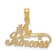 14k Yellow Gold Textured Number 1 Princess Charm