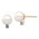 14K Yellow Gold 8-8.5mm White Round Freshwater Cultured Pearl Tanzanite
Post Earrings