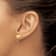 14K Yellow Gold Textured Charleston Palm Tree with Moon Stud Earrings