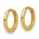 14k Yellow Gold Polished 3/8" Hinged Huggie Hoop Earrings