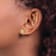 14k Yellow Gold Textured Sand Dollar Stud Earrings