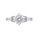White Cubic Zirconia Platinum Over Sterling Silver Ring 3.34ctw
