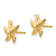 14K Yellow Gold Starfish Post Earrings