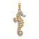 14K Two-tone Gold  Textured 3D Seahorse Charm