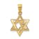 14k Yellow Gold Textured Star of David Pendant